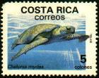 Costa Rican Stamp Showing a Sea Turtle